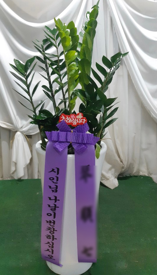 승진상회 이미지