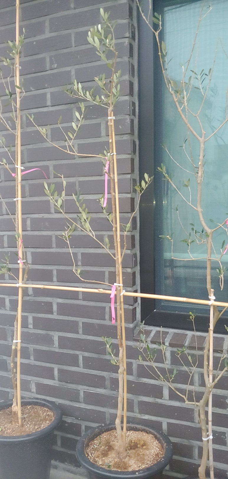 현안건축사사무소 이미지