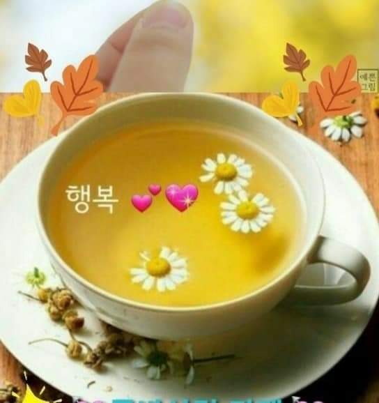 (주)비에스지 이미지