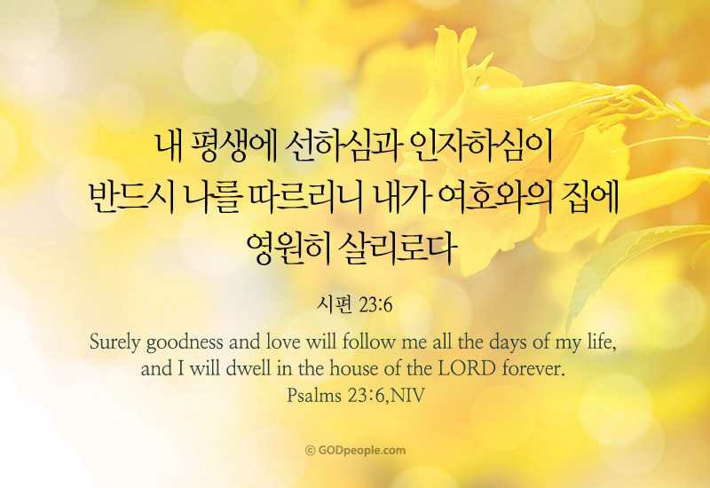 소중한선택 이미지