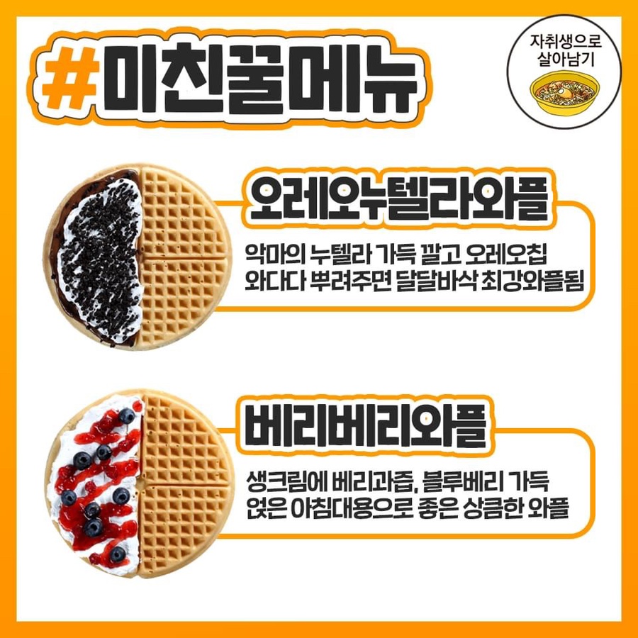 와플대학대전 이미지