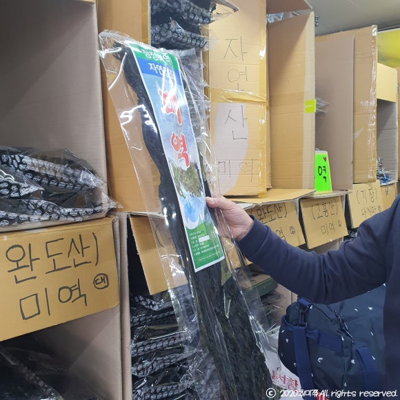 경포배오징어 이미지