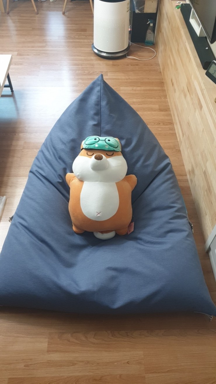 폴리몰리 이미지