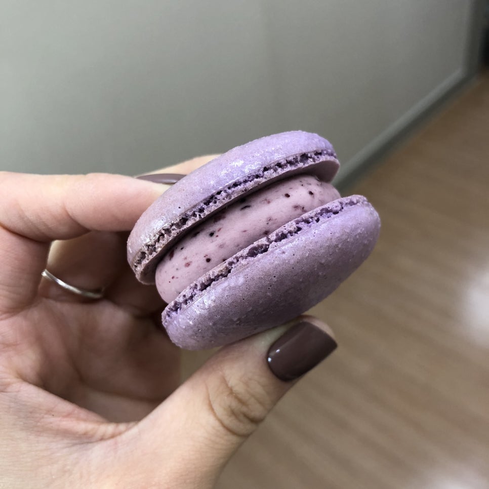 젬마카롱 이미지
