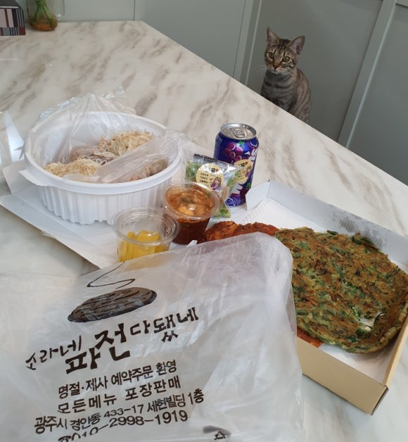 소라네파전다됐네 이미지