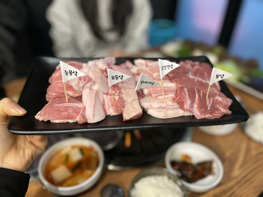 돈그라미 이미지