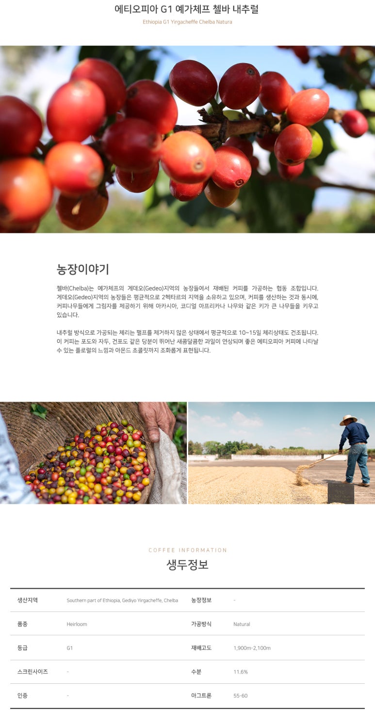 첼바 이미지