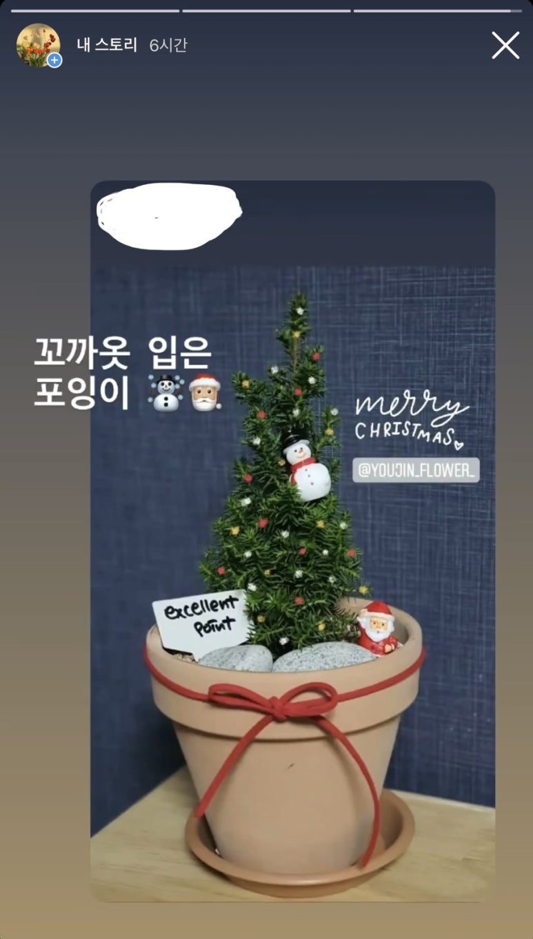 유진화원 이미지