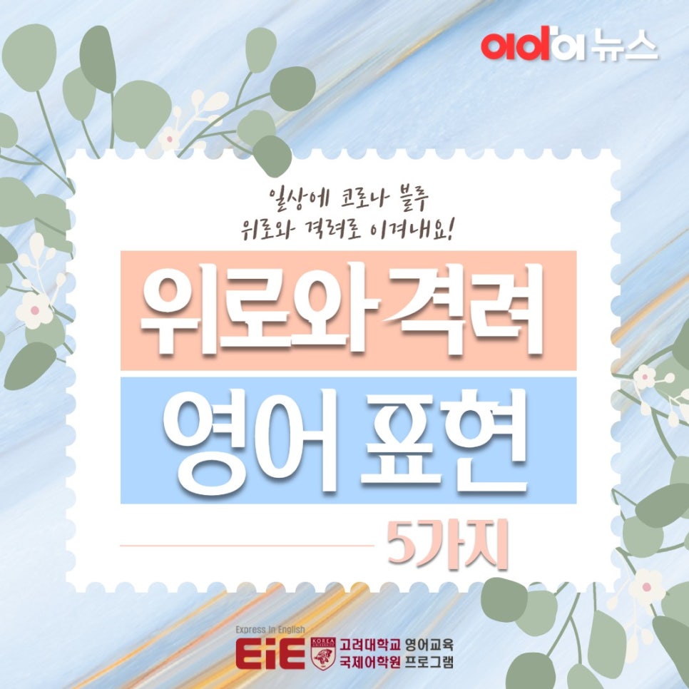어룡초등학교 이미지