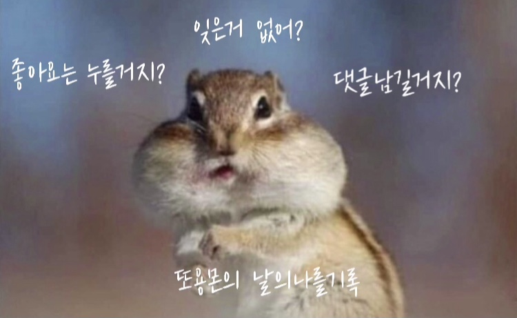 코스팅뷰티살롱 이미지