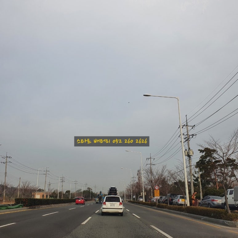 농장카밧데리 이미지