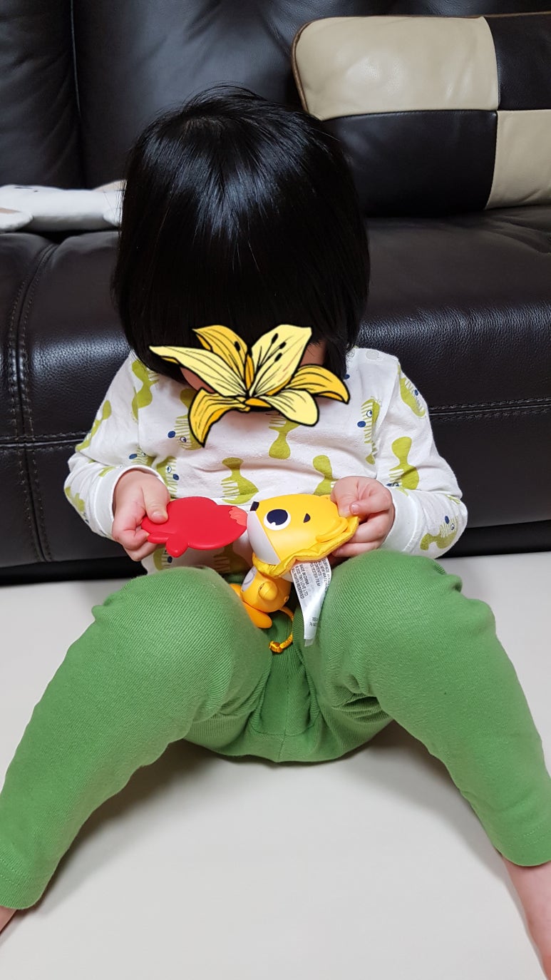 원더버디 이미지