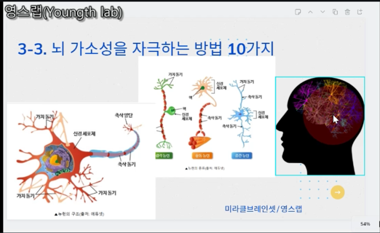영스랩 안티에이징 연구소 이미지