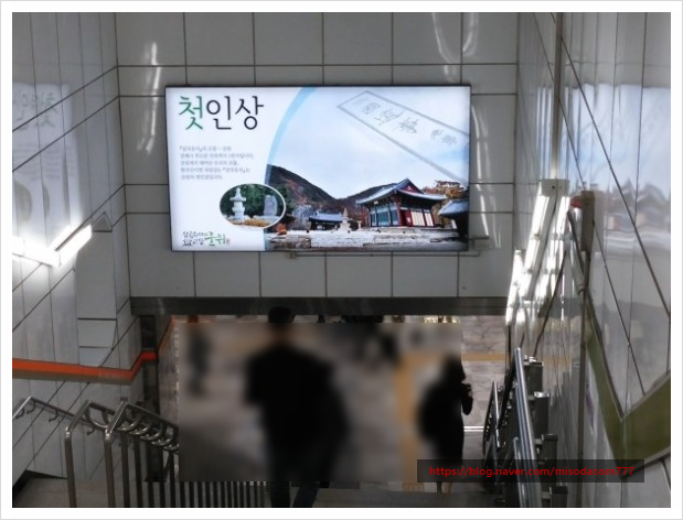 와이드임팩트 이미지