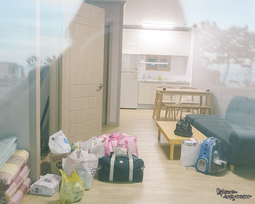 해뜨는창문애견동반오션뷰펜션 이미지