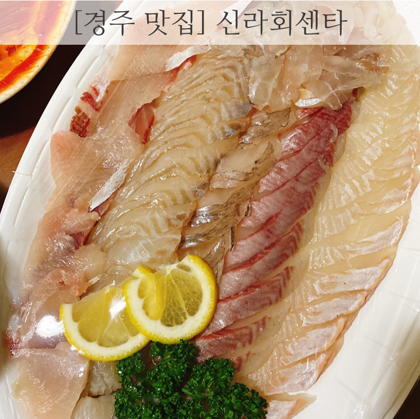 경주활어센타 이미지