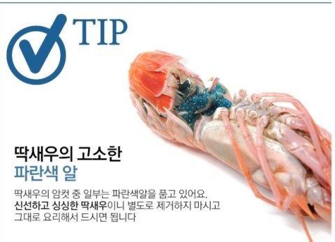 연어와딱새우 이미지