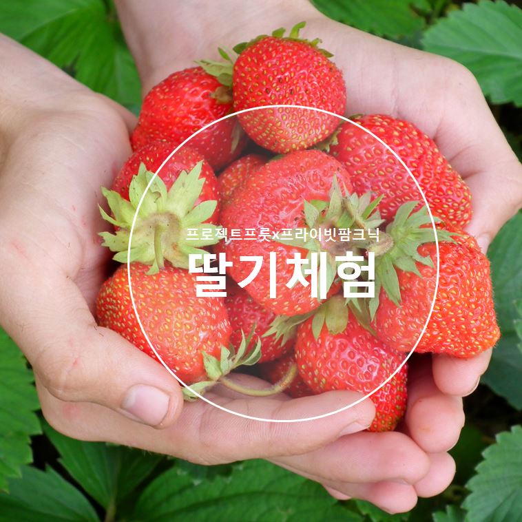 토우리영농조합법인 이미지