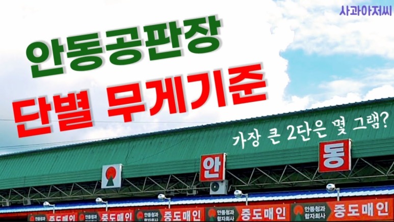동일청과 이미지