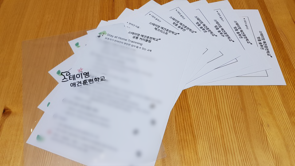 스테이영 이미지