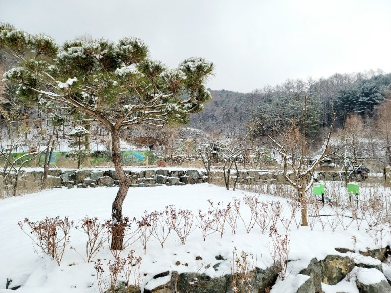 포천캠핑마을 이미지