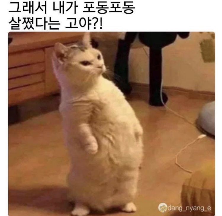도시락&김밥이야기 이미지
