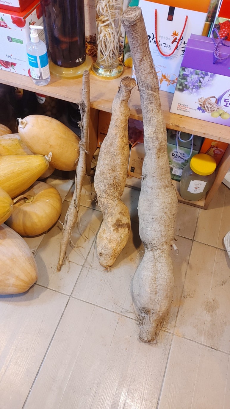 함양액즙 이미지