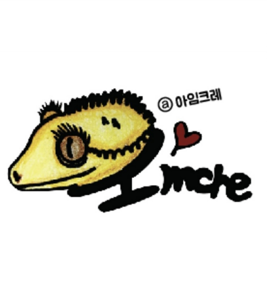 아임릴리 이미지