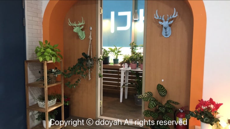 샐빛스터디룸 이미지