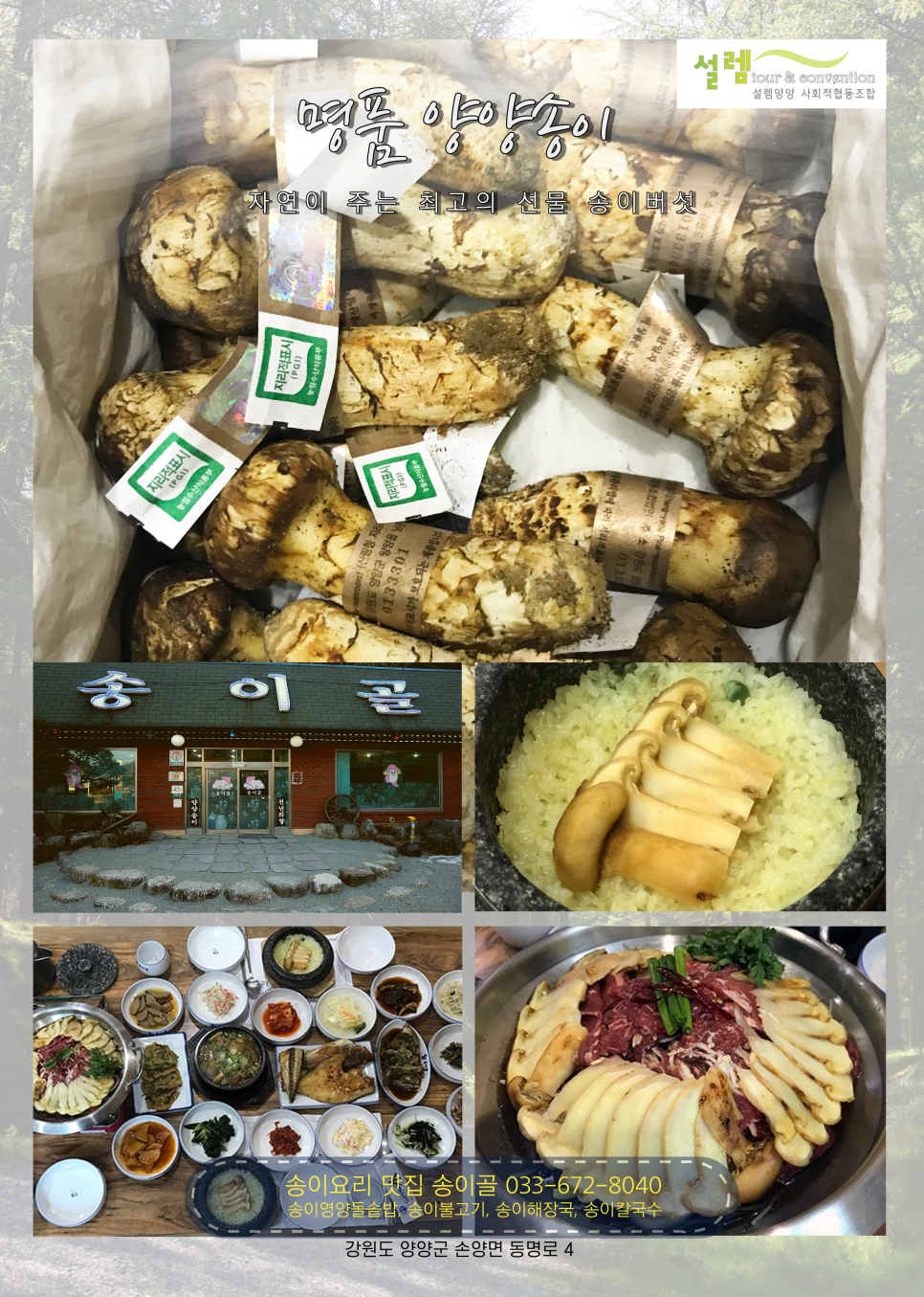 설렘양양사회적협동조합 이미지