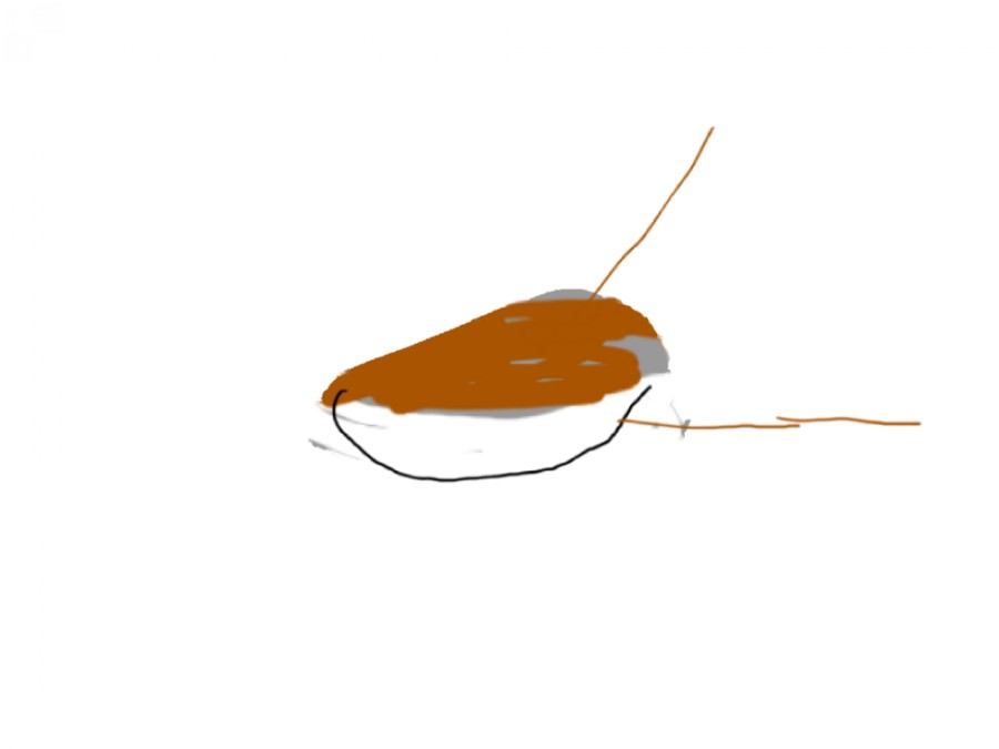 윤푸드 이미지
