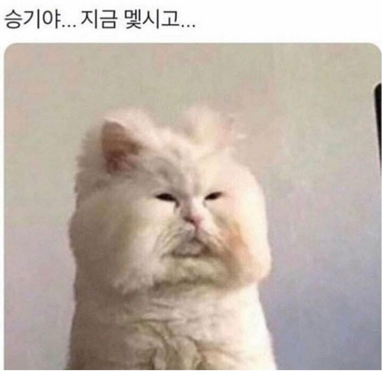 광명반찬 이미지