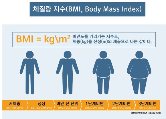 쎄짐 이미지