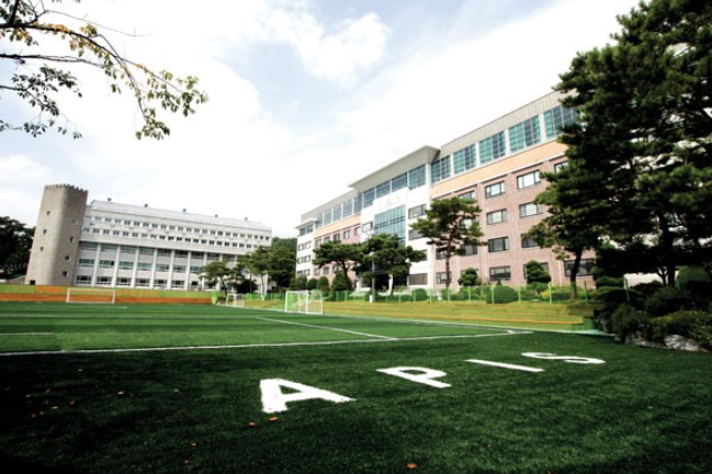 국제컨설팅 이미지