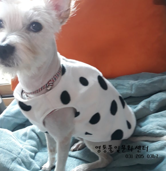 예방홈패션 이미지
