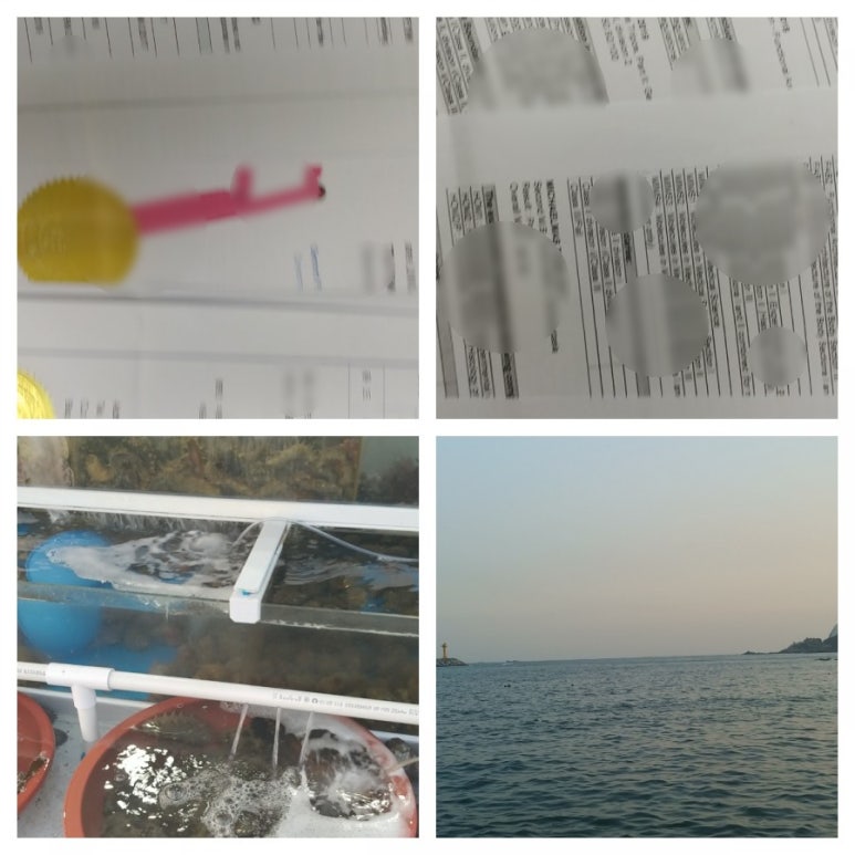 온나라행정사사무소 이미지