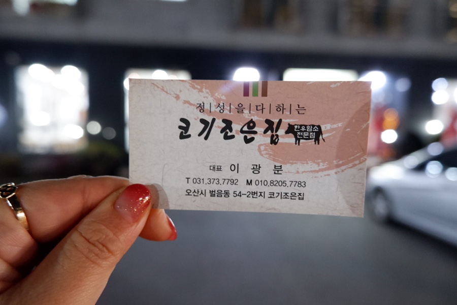 코기조은집 이미지