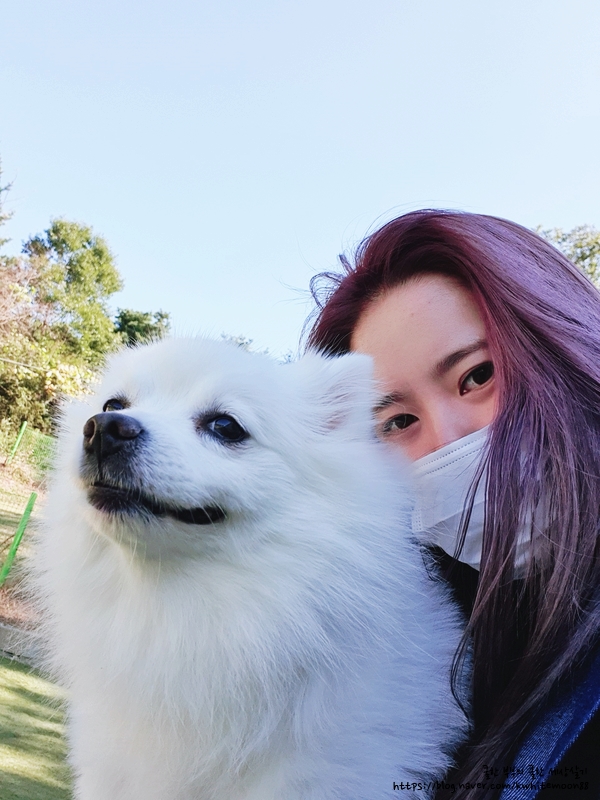 THE예쁜머리 이미지
