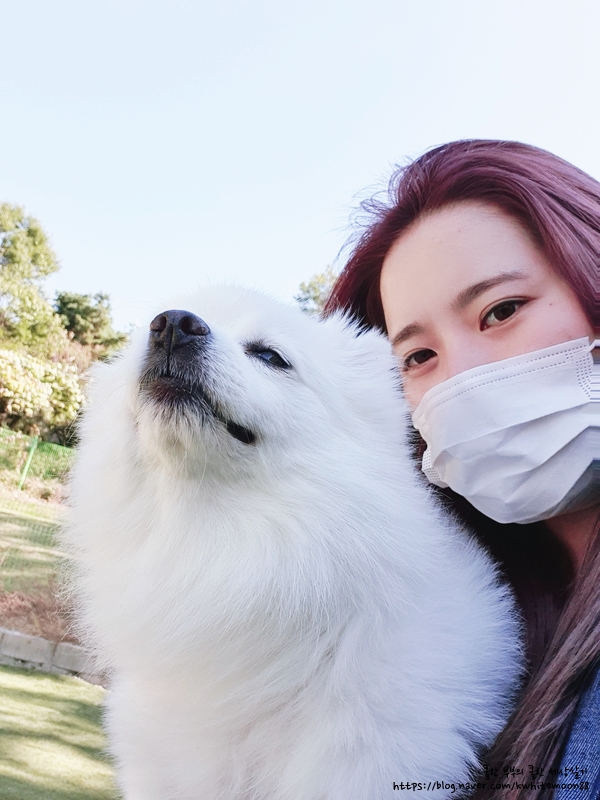 THE예쁜머리 이미지