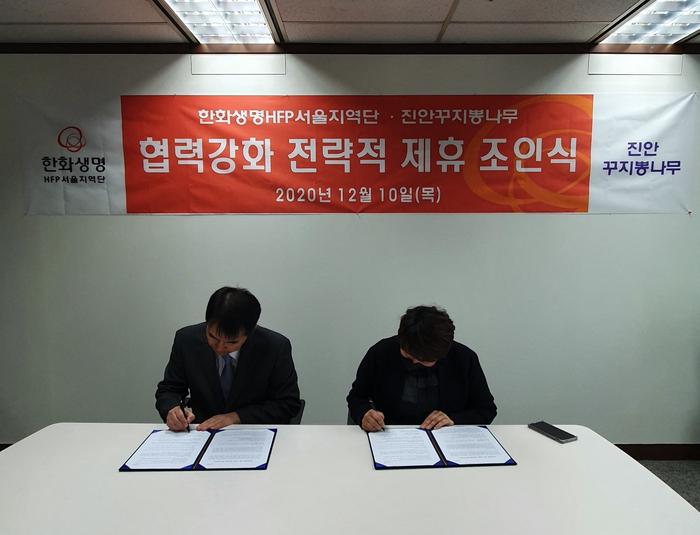 진안꾸지뽕나무 이미지