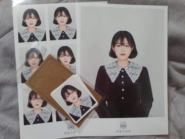 연꽃사진관 이미지