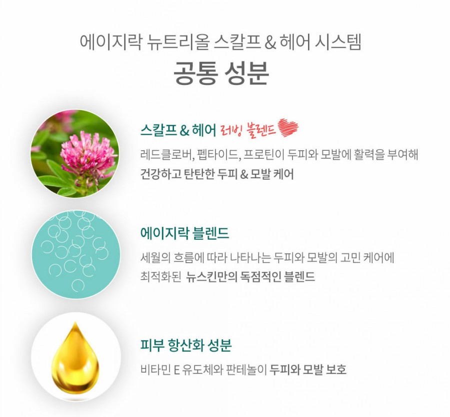 올시스템 이미지