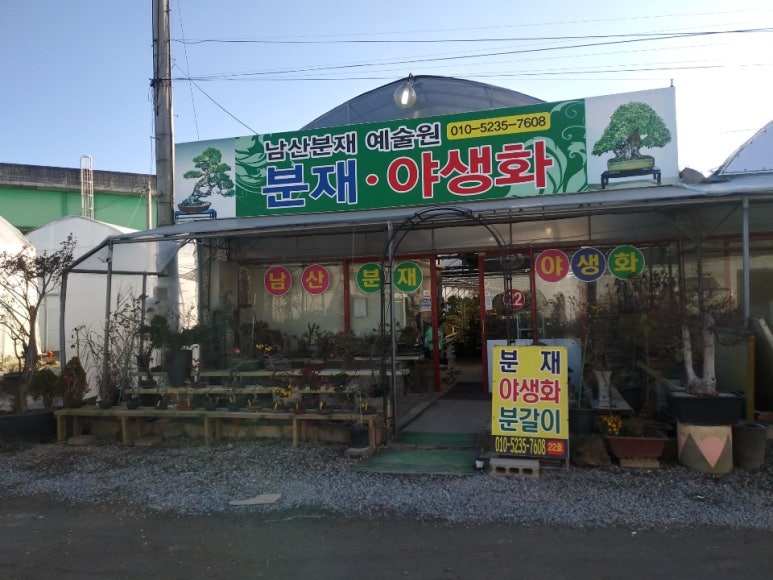 남산분재예술원 이미지