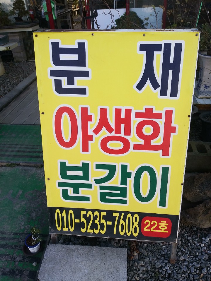 남산분재예술원 이미지
