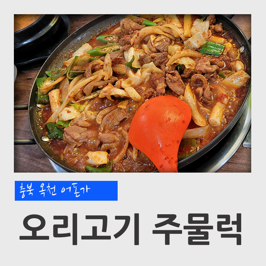 어돈가 이미지