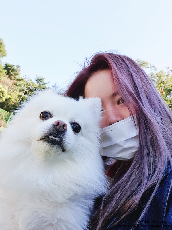 THE예쁜머리 이미지