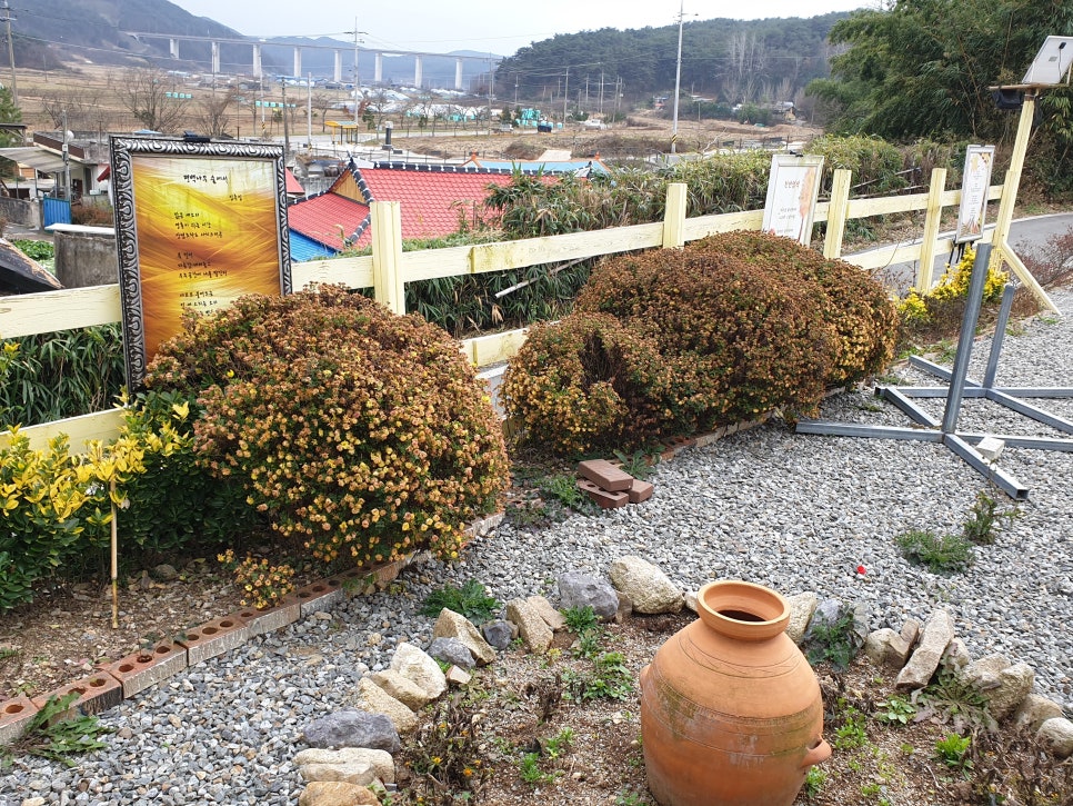 노란담장 이미지