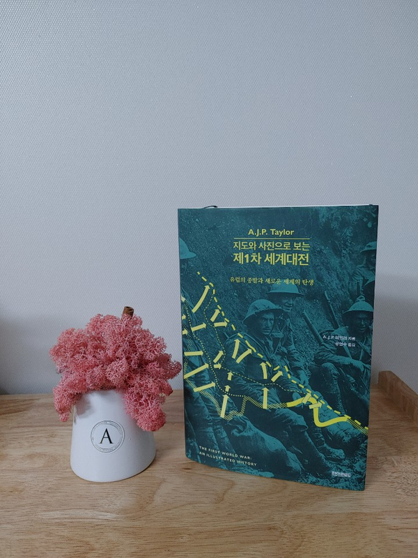 테일러페이퍼 이미지