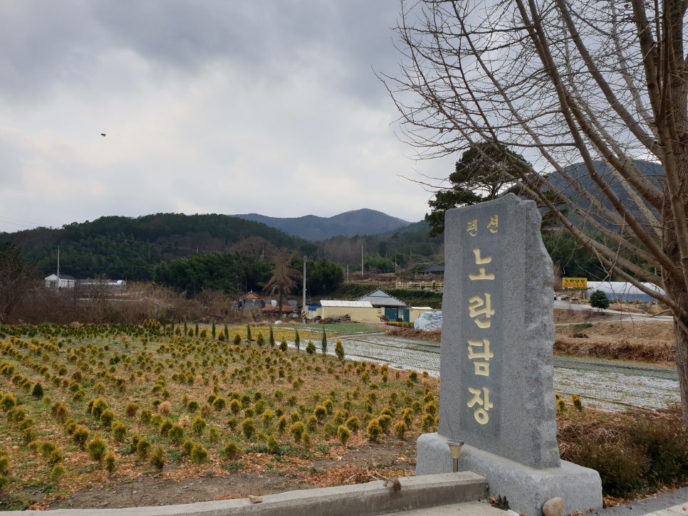 노란담장 이미지