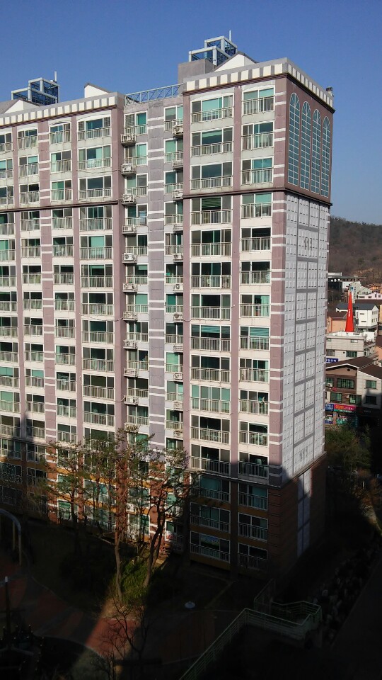 신성부동산컨설팅 이미지